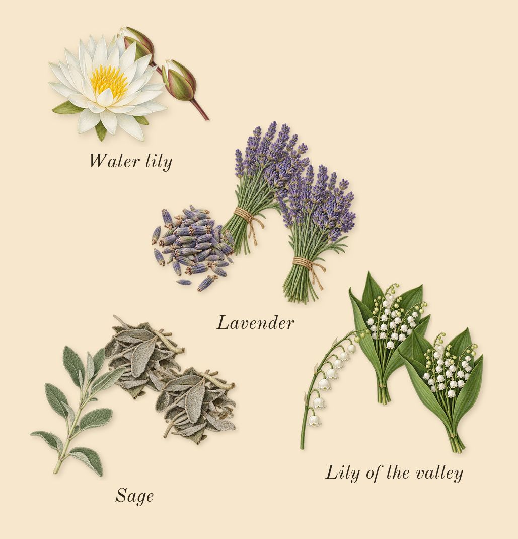 360° for Women, heart: Lily of the valley, Water lily, Lavender, Sage