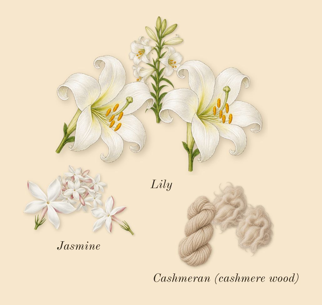 Vanilla Skin, heart: Lily, Jasmine, Cashmeran (cashmere wood)