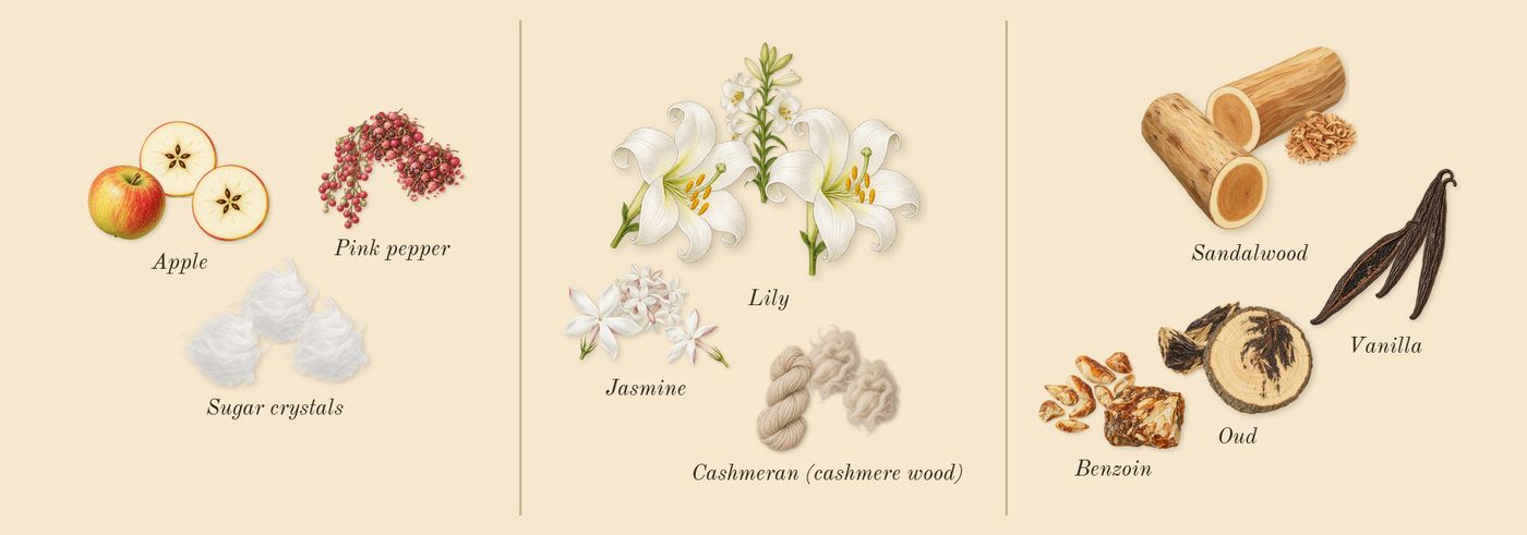 Vanilla Skin’s scent picture, a draft: pink pepper, apple, sugar crystals, lily, jasmine, cashmeran (cashmere wood) drawn so far; dashed outlines where nothing is drawn yet