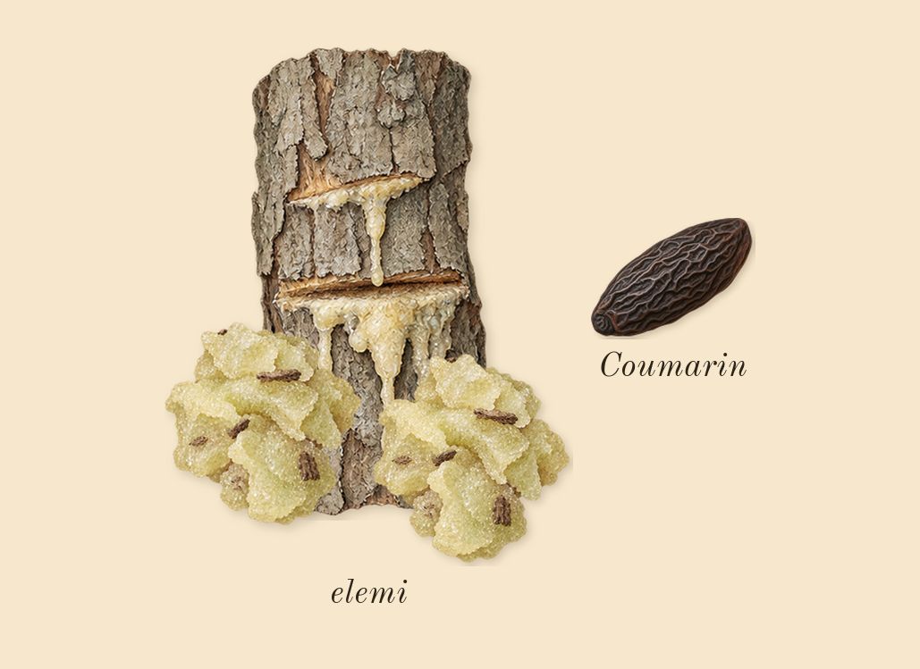 Portrayal Woman, dry-down: elemi, Coumarin