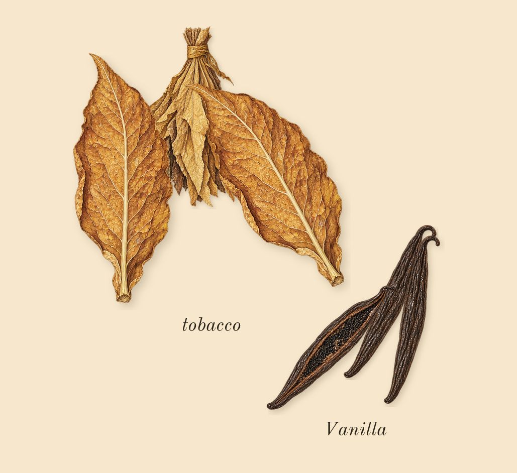 Portrayal Woman, heart: tobacco, Vanilla