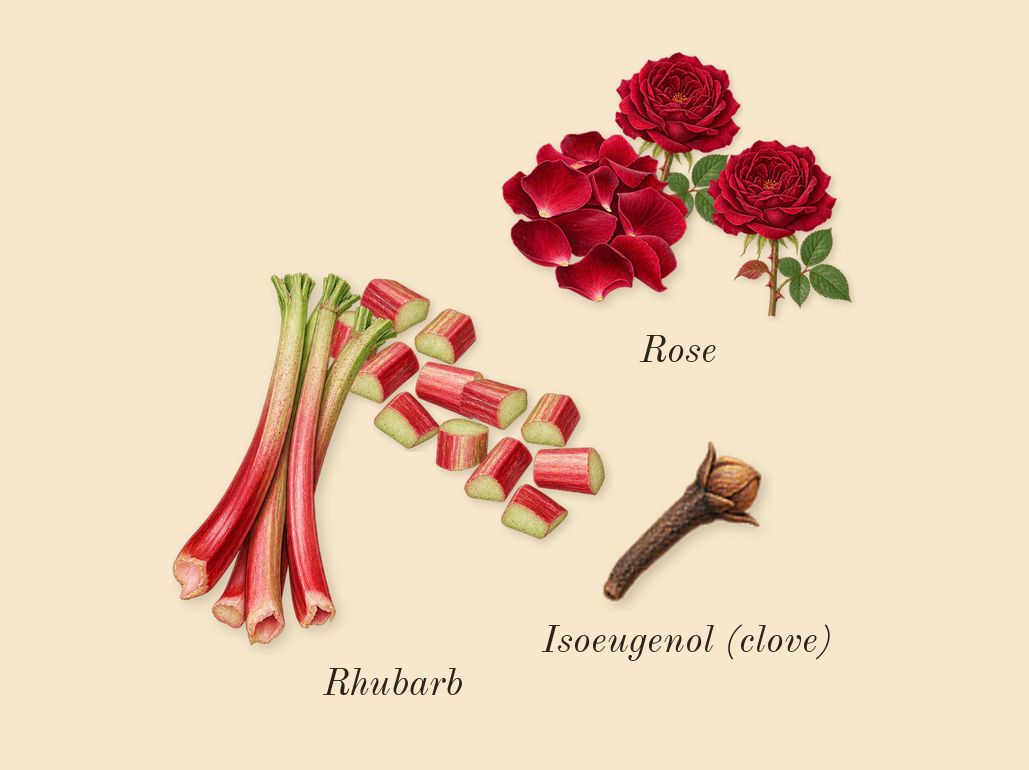 Infusion de Rhubarbe, heart: Rhubarb, Rose, Isoeugenol (clove)