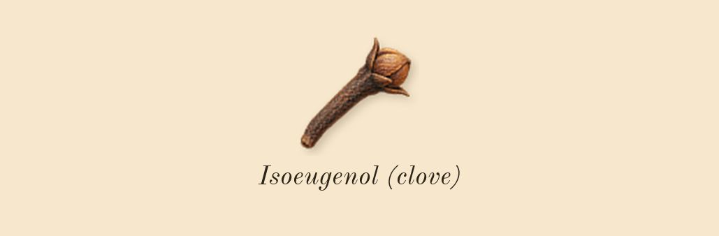 Infusion d'Iris, heart: Isoeugenol (clove)