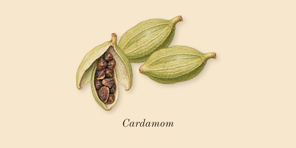 L'Homme Intense, top notes: Cardamom