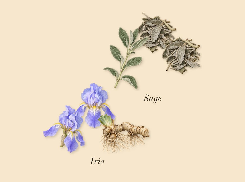 Luna Rossa Ocean, heart: Iris, Sage