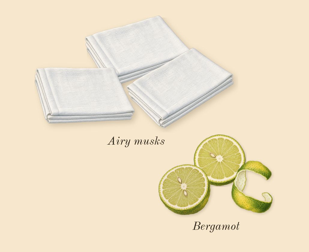 Paradigme, top notes: Bergamot, Airy musks
