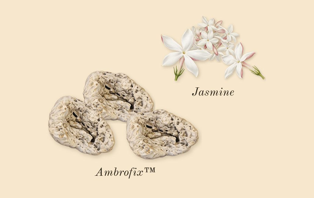 Paradoxe Intense, heart: Ambrofix™, Jasmine