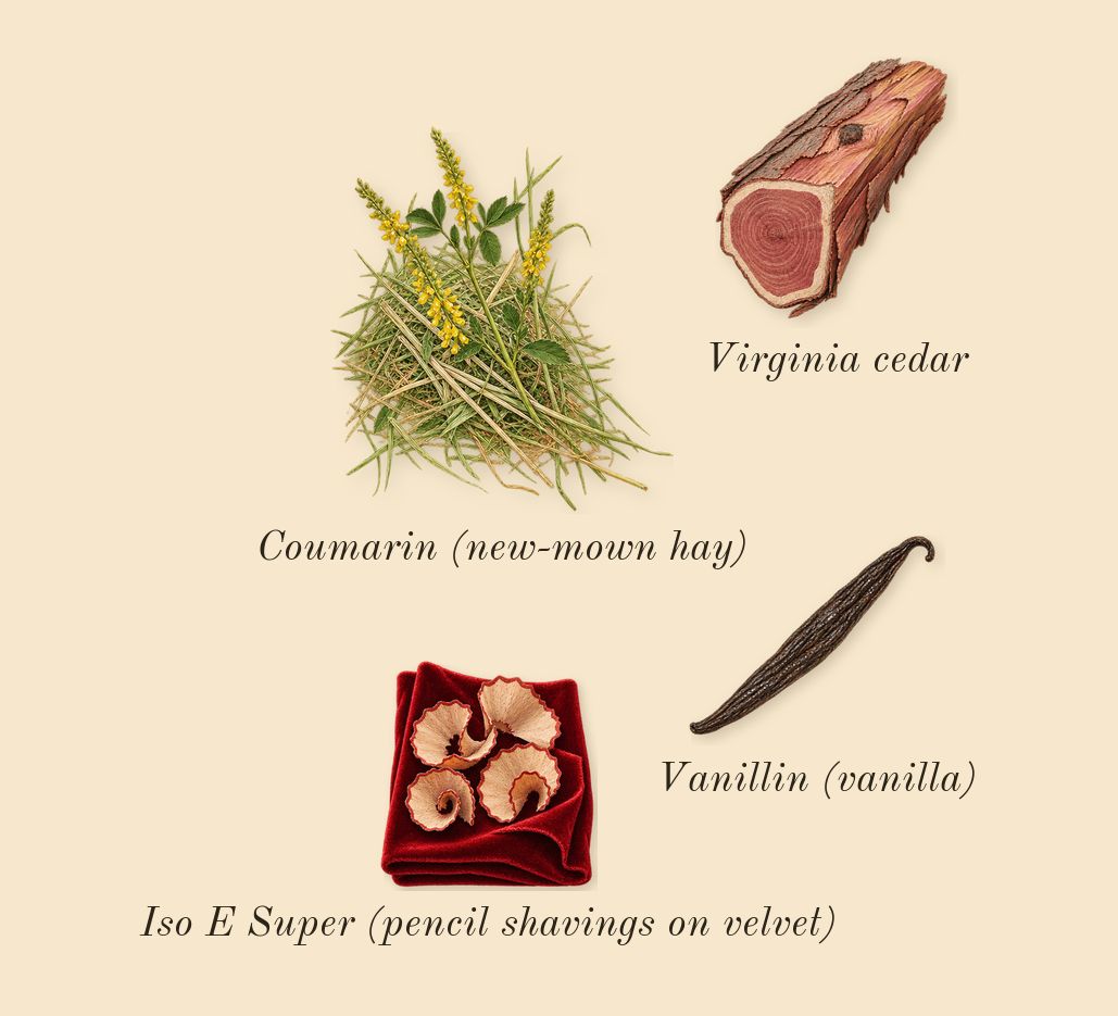 Paradoxe Sweet Chemistry, dry-down: Virginia cedar, Iso E Super (pencil shavings on velvet), Vanillin (vanilla), Coumarin (new-mown hay)