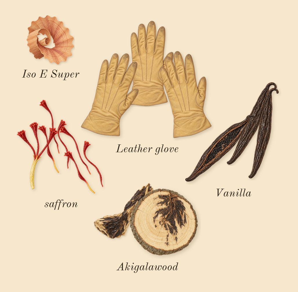 Purpose 50, dry-down: saffron, Leather glove, Akigalawood, Vanilla, Iso E Super