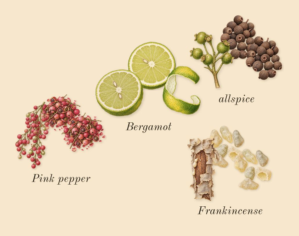 Purpose, top notes: Bergamot, Pink pepper, Frankincense, allspice