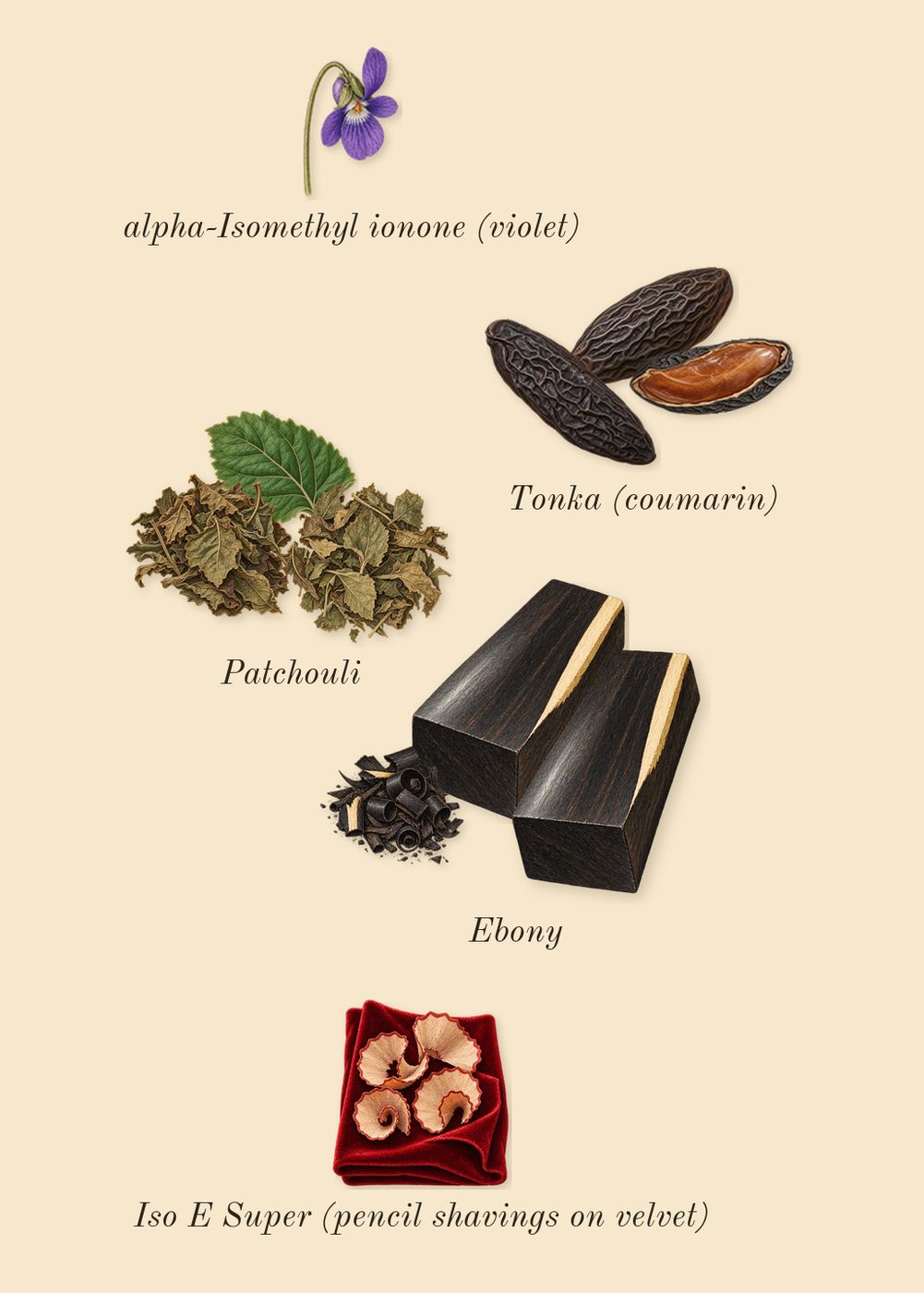 1 Million Black, dry-down: Ebony, Patchouli, Tonka (coumarin), Iso E Super (pencil shavings on velvet), alpha-Isomethyl ionone (violet)