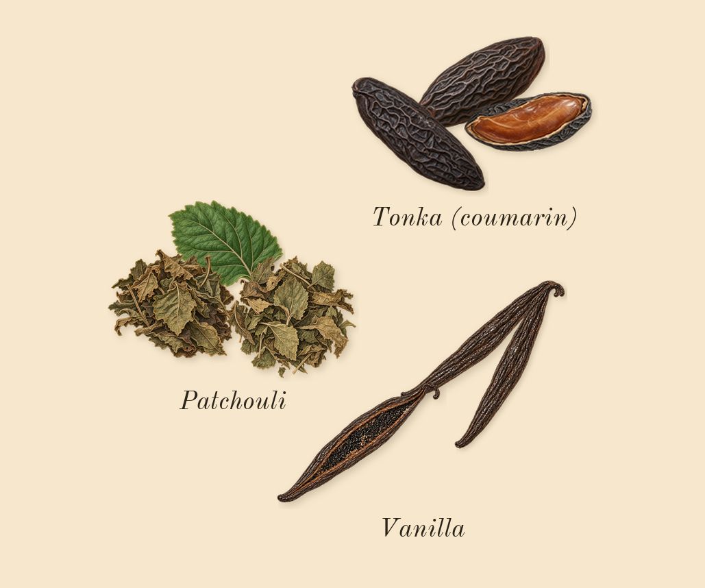 1 Million Elixir, dry-down: Vanilla, Tonka (coumarin), Patchouli