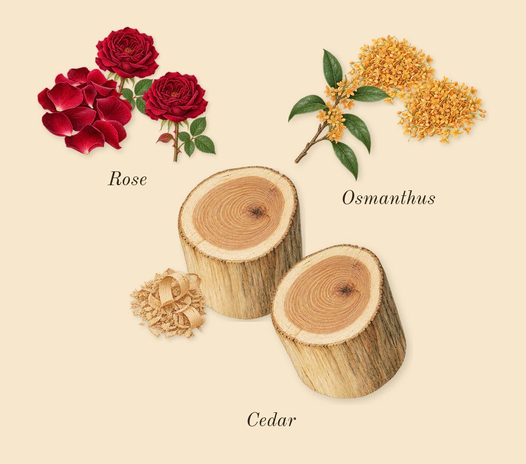 1 Million Elixir, heart: Rose, Osmanthus, Cedar