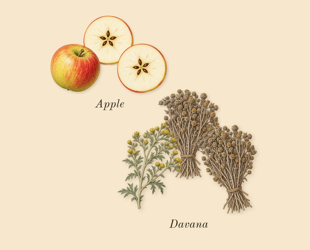 1 Million Elixir, top notes: Davana, Apple