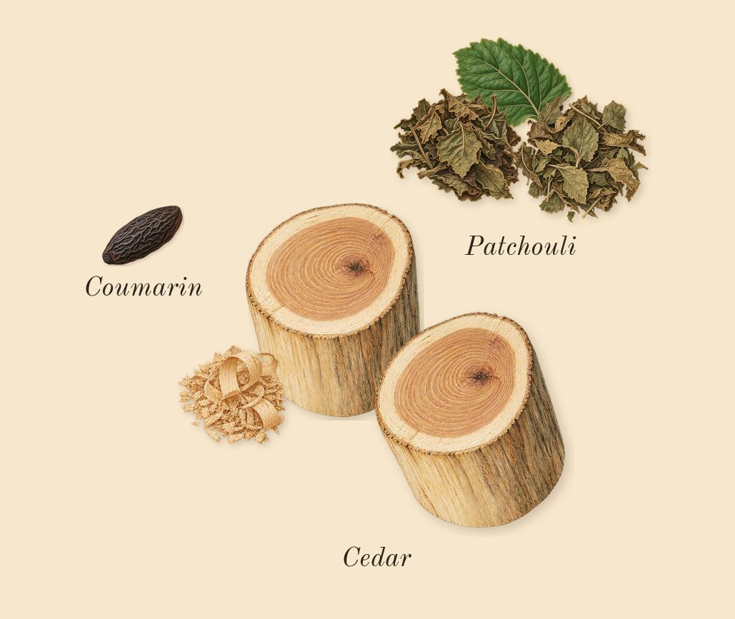 1 Million Lucky, dry-down: Cedar, Patchouli, Coumarin