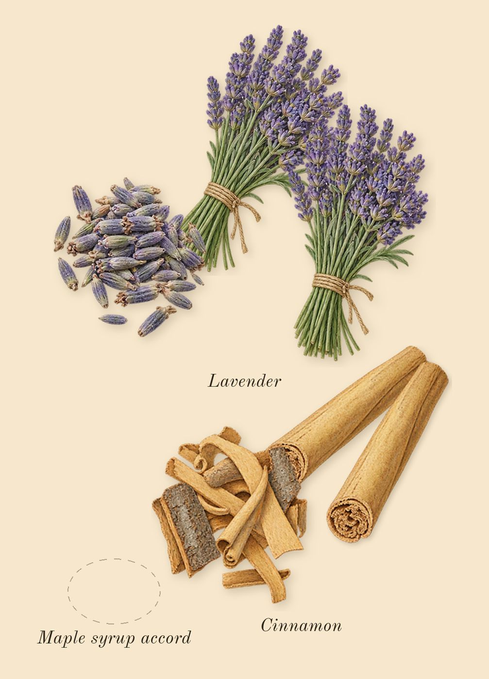 1 Million Night Elixir, heart: Maple syrup accord, Cinnamon, Lavender