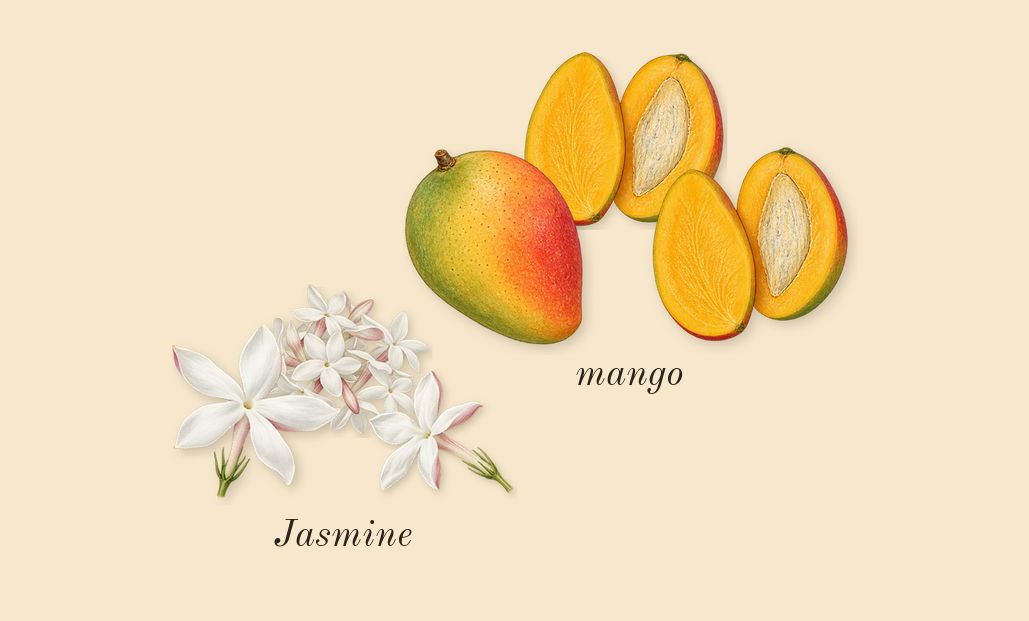 Fame, heart: mango, Jasmine