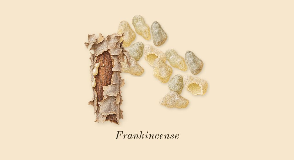 Fame, top notes: Frankincense