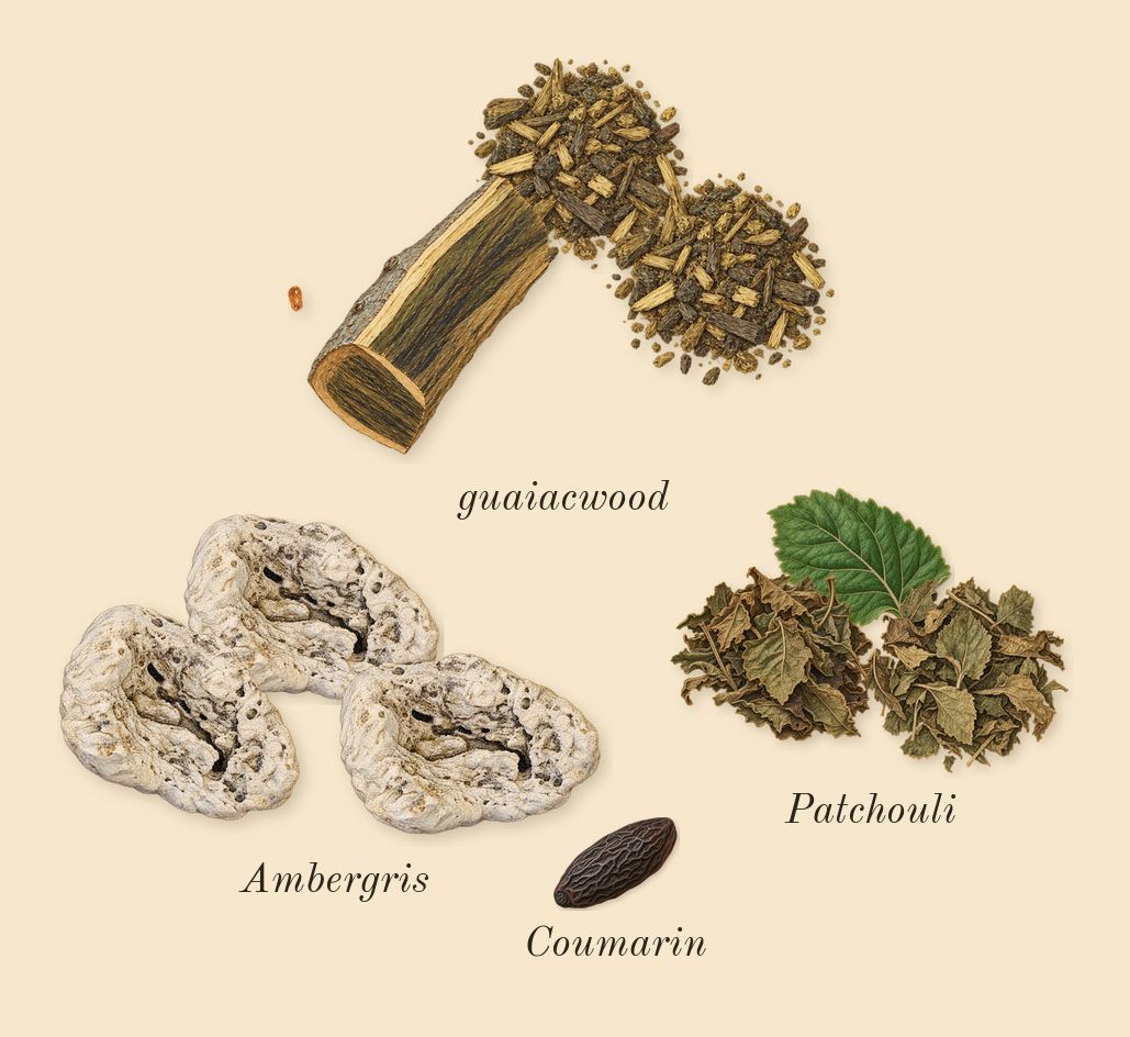 Invictus, dry-down: guaiacwood, Patchouli, Ambergris, Coumarin