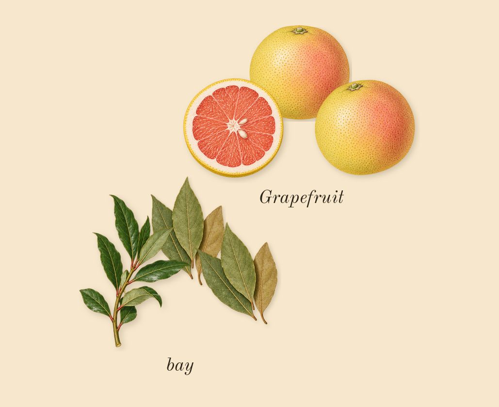 Invictus, top notes: Grapefruit, bay