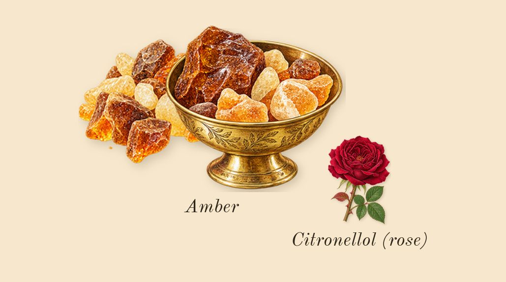 Invictus Victory Absolu, heart: Amber, Citronellol (rose)