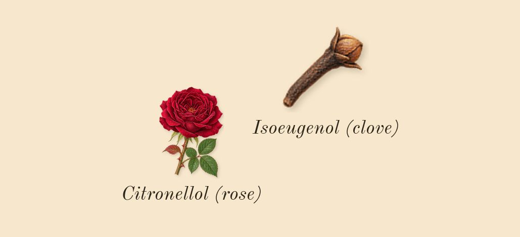 Invictus Victory, heart: Citronellol (rose), Isoeugenol (clove)