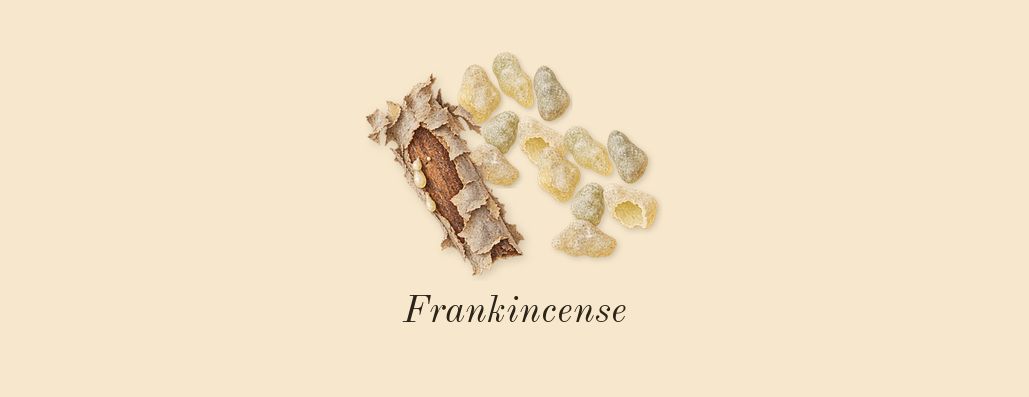 Invictus Victory Elixir, heart: Frankincense
