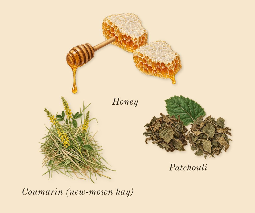 Lady Million, dry-down: Honey, Patchouli, Coumarin (new-mown hay)