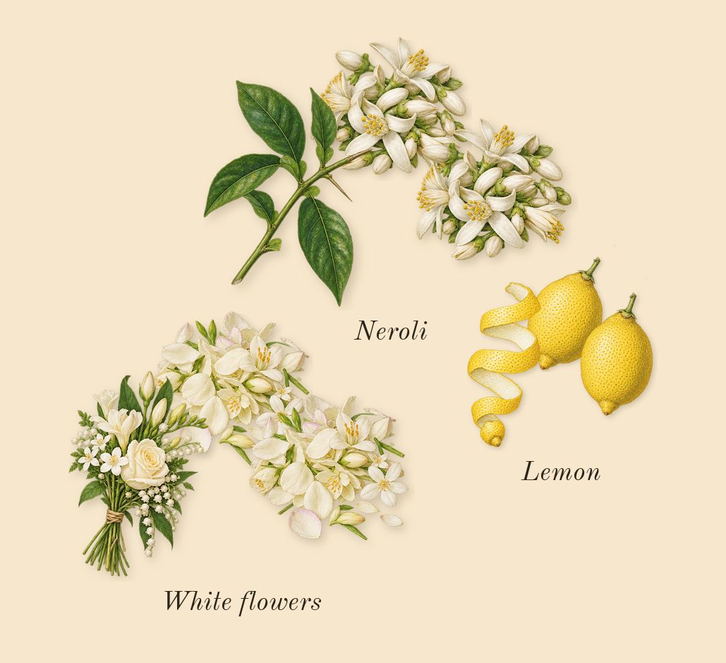 Lady Million, top notes: White flowers, Lemon, Neroli