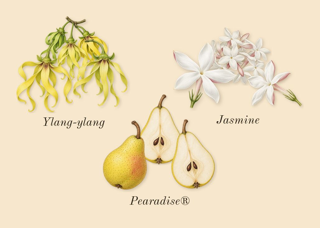 Million Gold for Her, heart: Pearadise®, Ylang-ylang, Jasmine