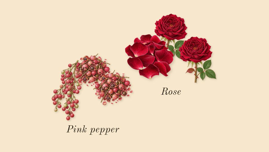 Olympéa Flora, top notes: Rose, Pink pepper