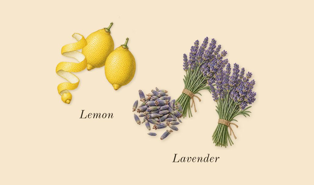 Phantom, top notes: Lavender, Lemon