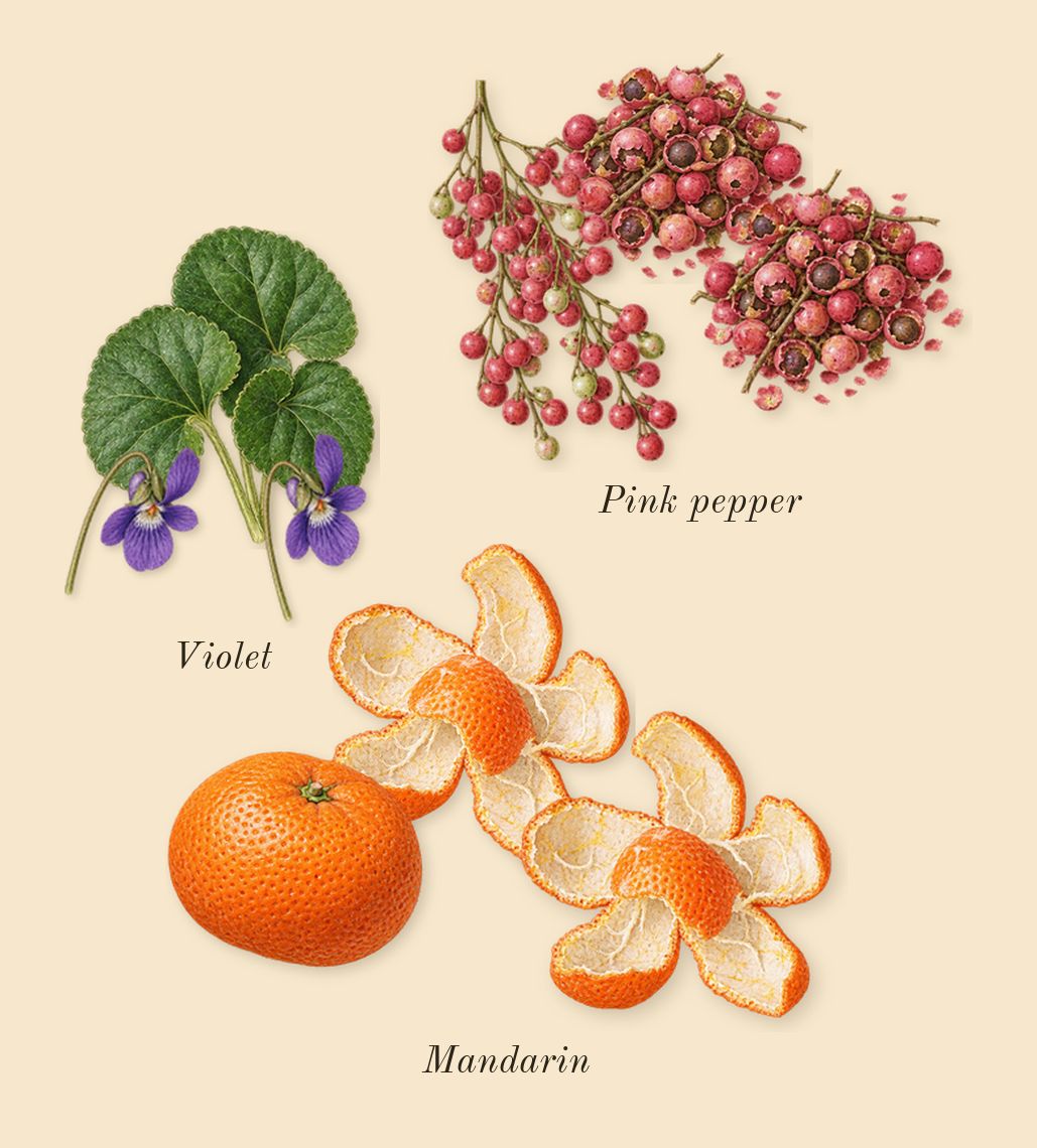 Romance, top notes: Mandarin, Pink pepper, Violet