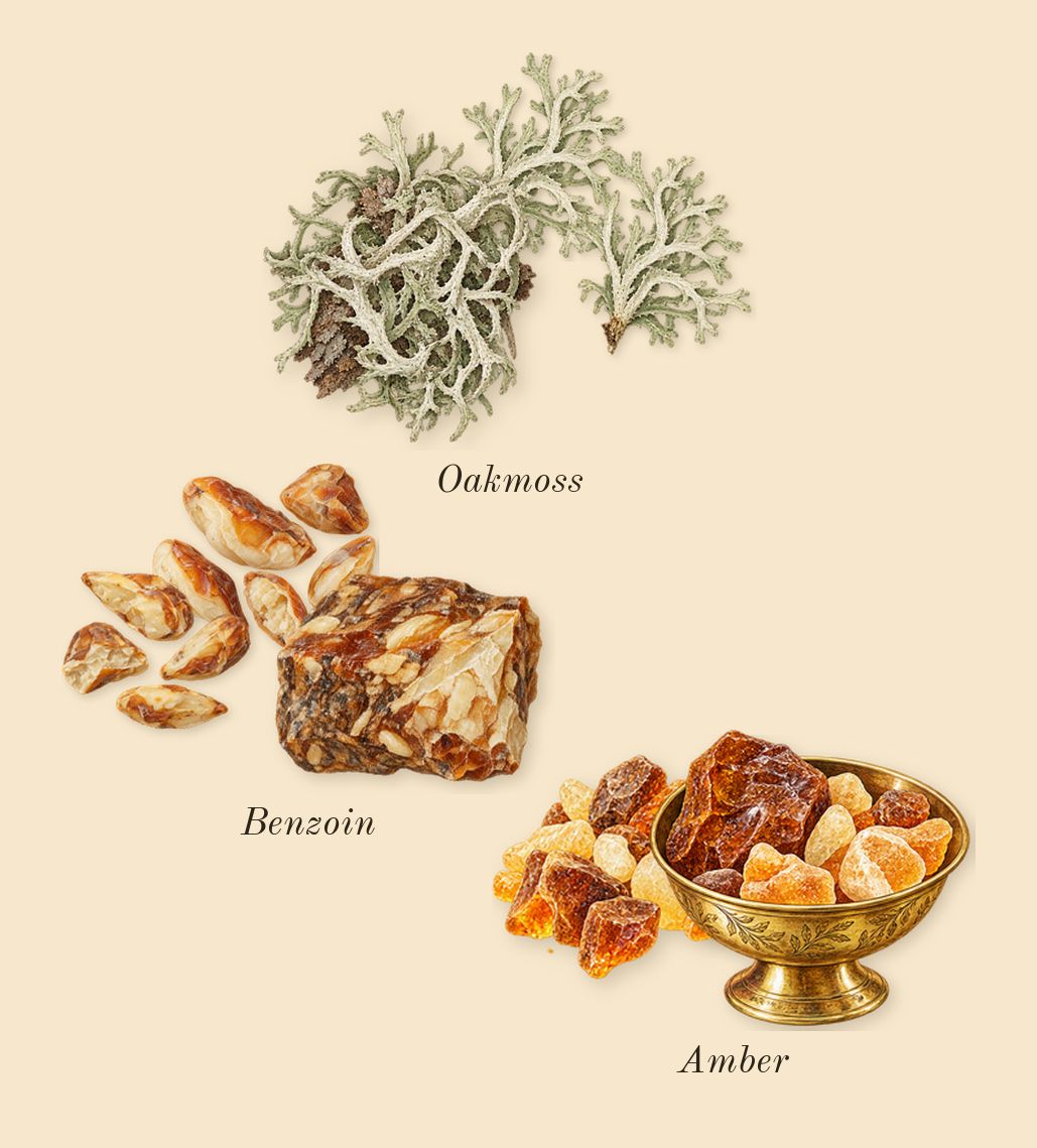 Fattan Pour Homme, dry-down: Oakmoss, Amber, Benzoin