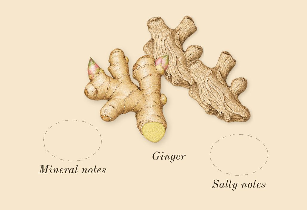 Hawas Atlantis, heart: Ginger