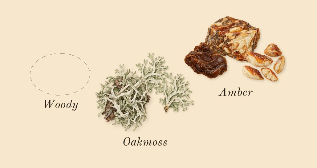 Hawas Black, dry-down: Oakmoss, Woody, Amber