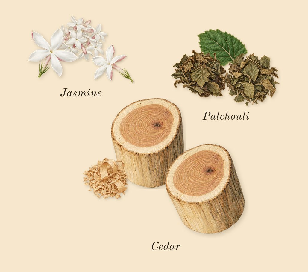 Hawas Black, heart: Cedar, Patchouli, Jasmine