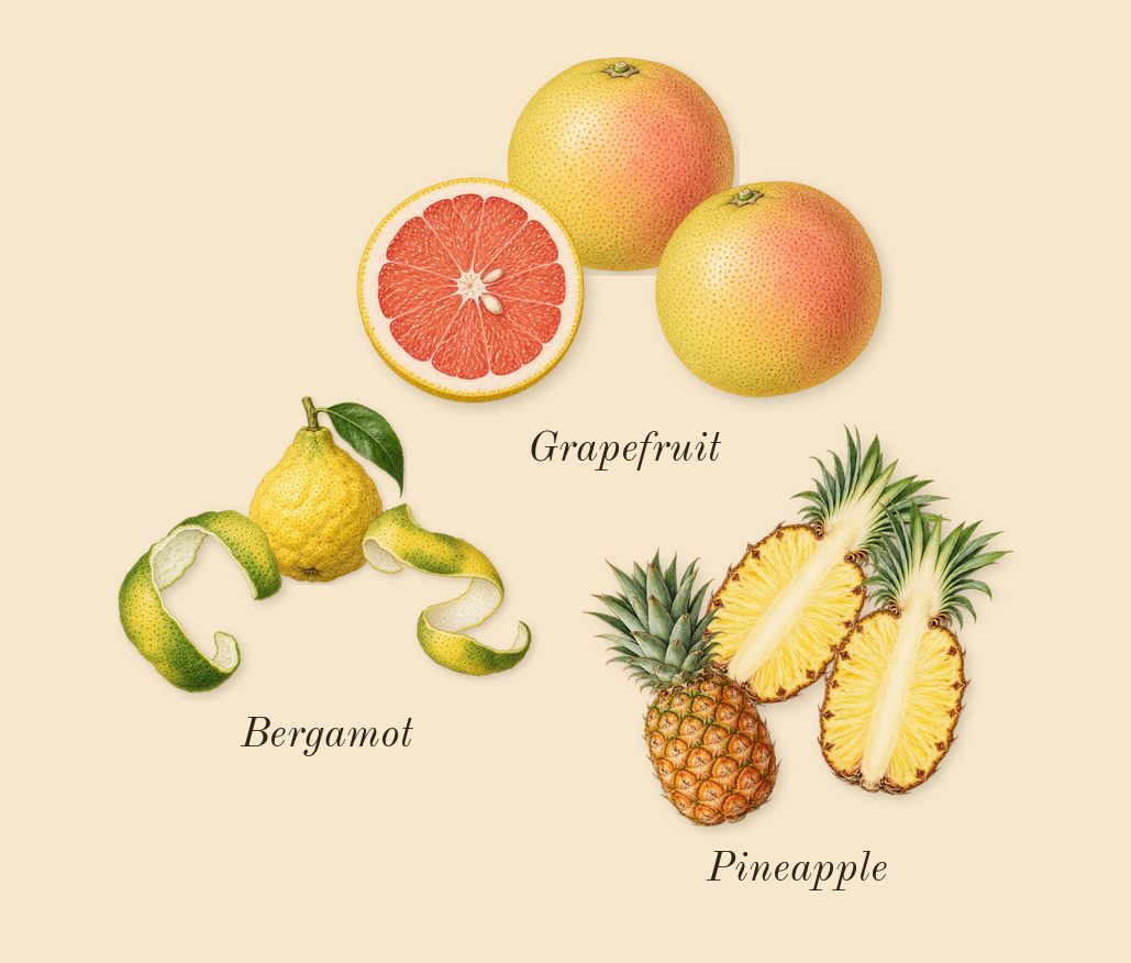 Hawas Black, top notes: Pineapple, Grapefruit, Bergamot