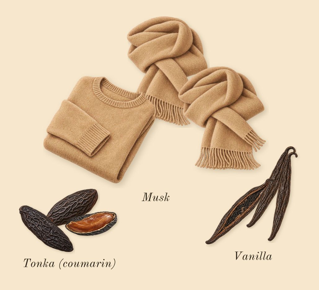 Hawas Elixir, dry-down: Vanilla, Tonka (coumarin), Musk