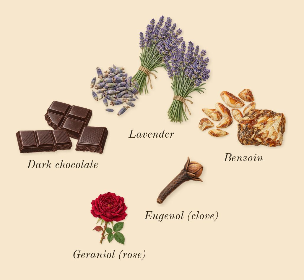 Hawas Elixir, heart: Lavender, Dark chocolate, Benzoin, Geraniol (rose), Eugenol (clove)
