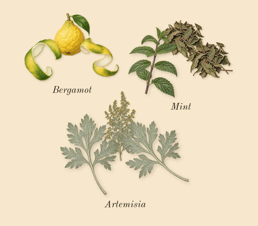 Hawas Elixir, top notes: Mint, Bergamot, Artemisia