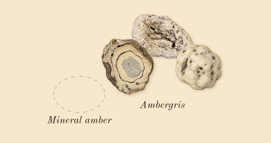 Hawas Fire, dry-down: Ambergris