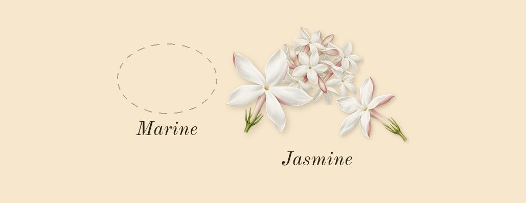 Hawas Fire, heart: Jasmine