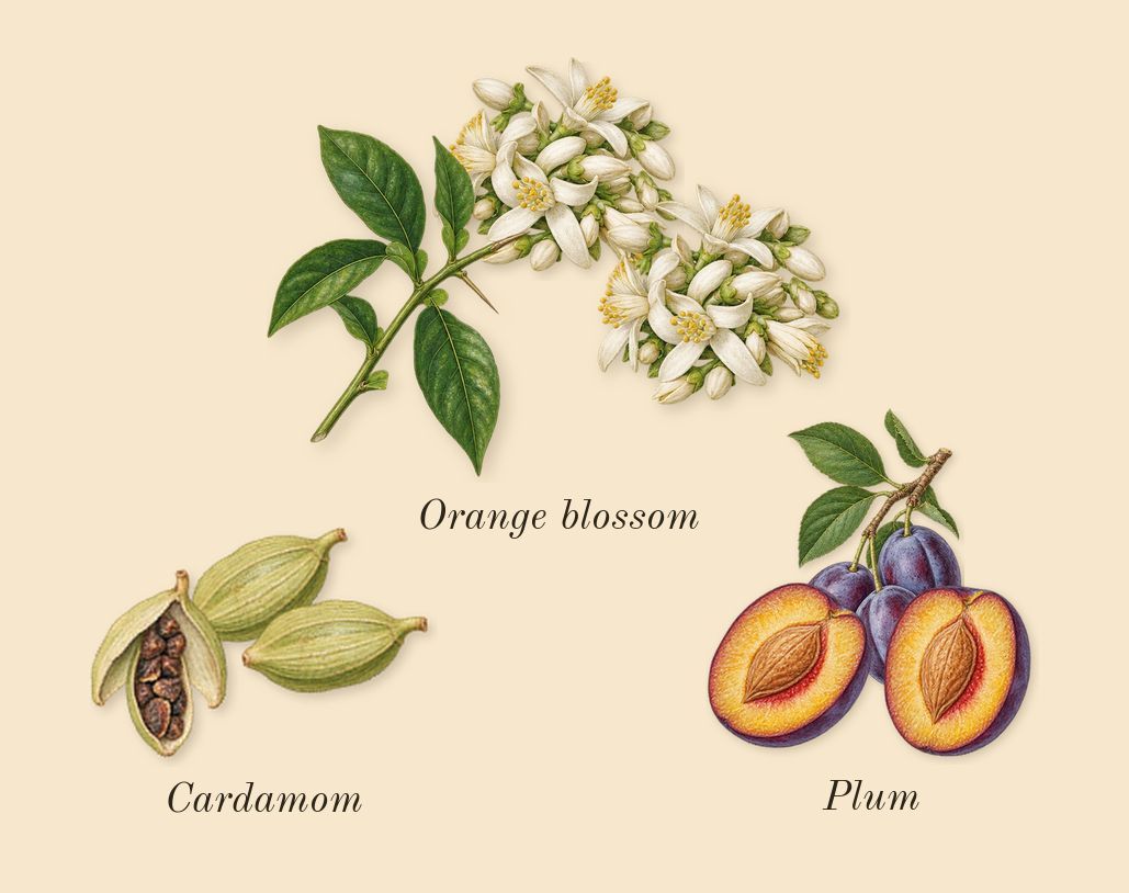 Hawas For Him, heart: Orange blossom, Cardamom, Plum