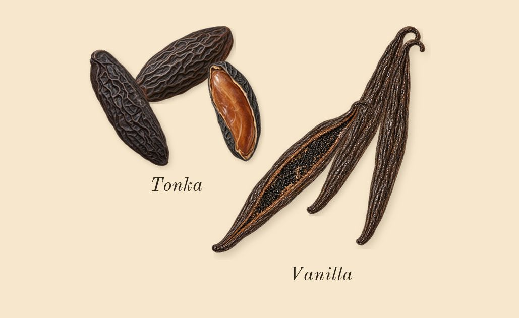 Hawas Pink, dry-down: Vanilla, Tonka