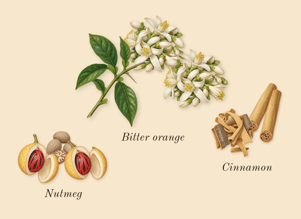 Hawas Pink, top notes: Bitter orange, Cinnamon, Nutmeg