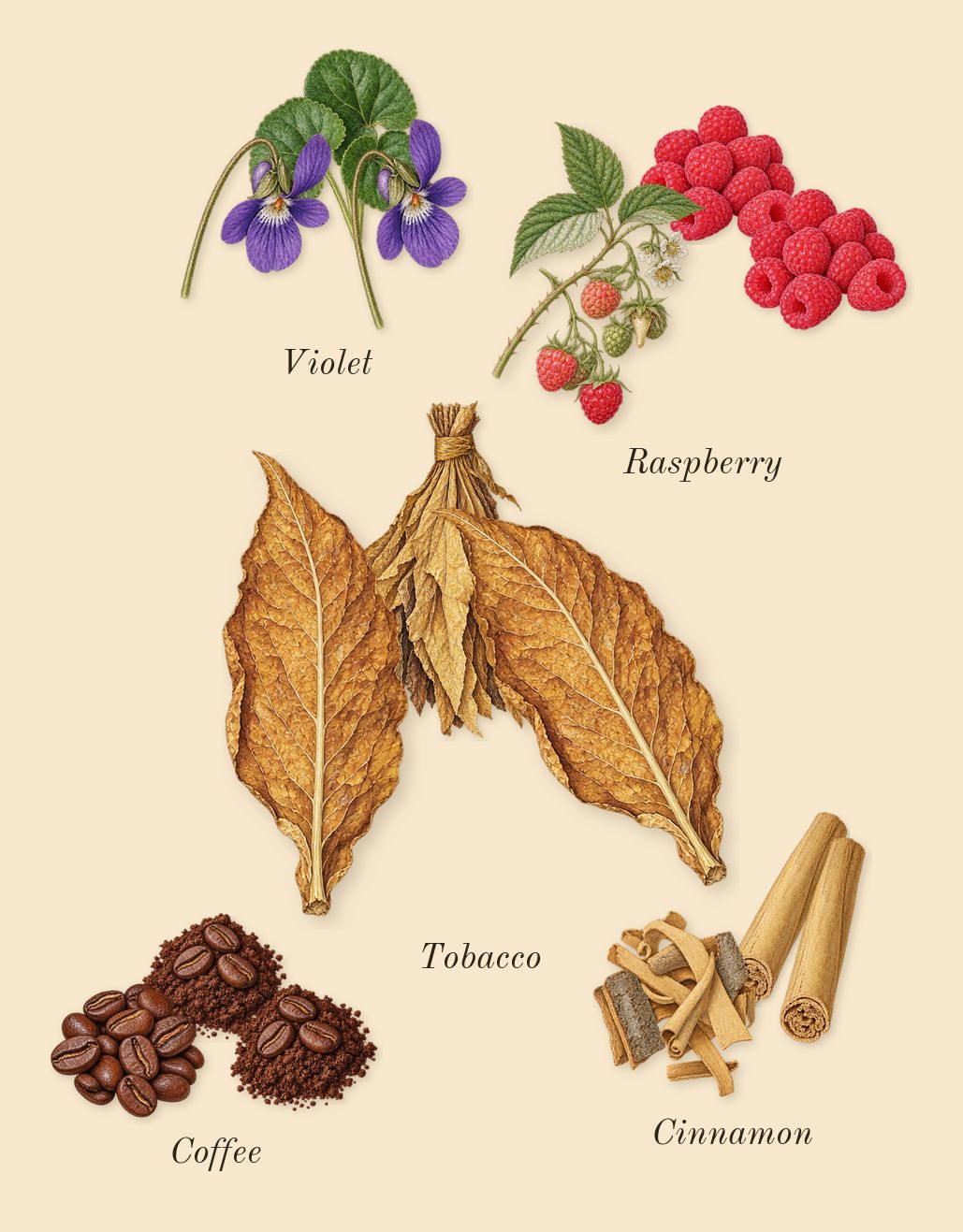 Hawas Viper, heart: Tobacco, Coffee, Cinnamon, Violet, Raspberry