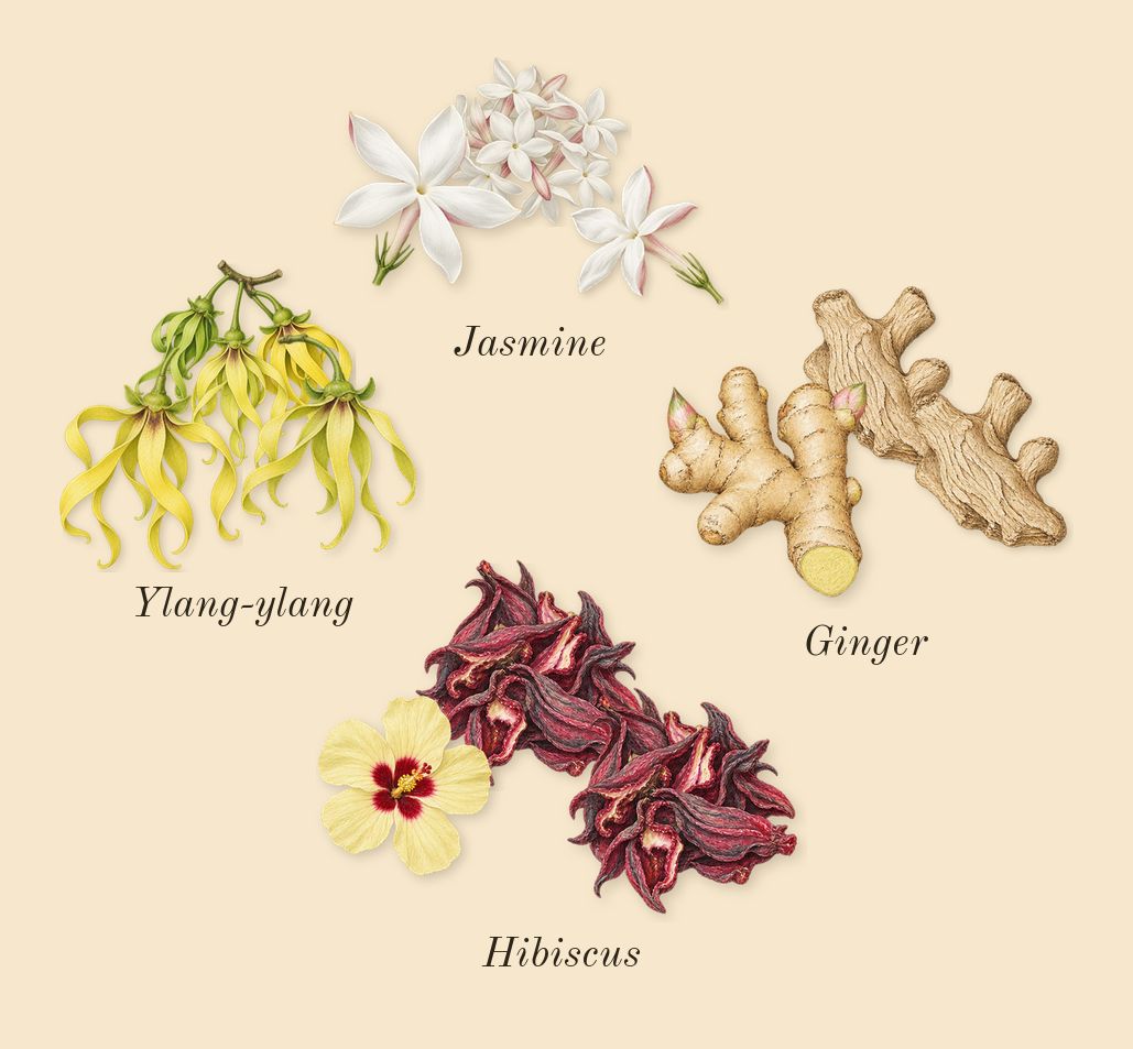 Aquatica, heart: Ginger, Ylang-ylang, Jasmine, Hibiscus