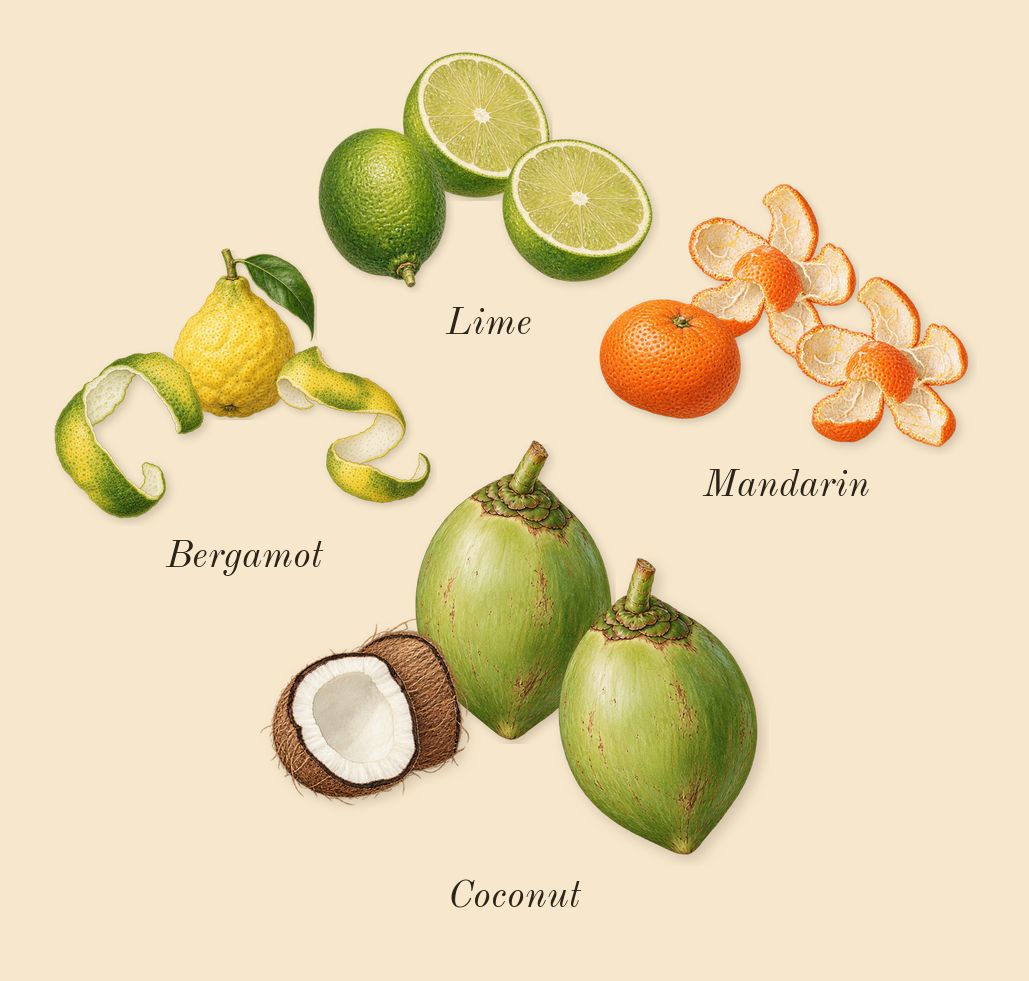 Aquatica, top notes: Coconut, Lime, Bergamot, Mandarin