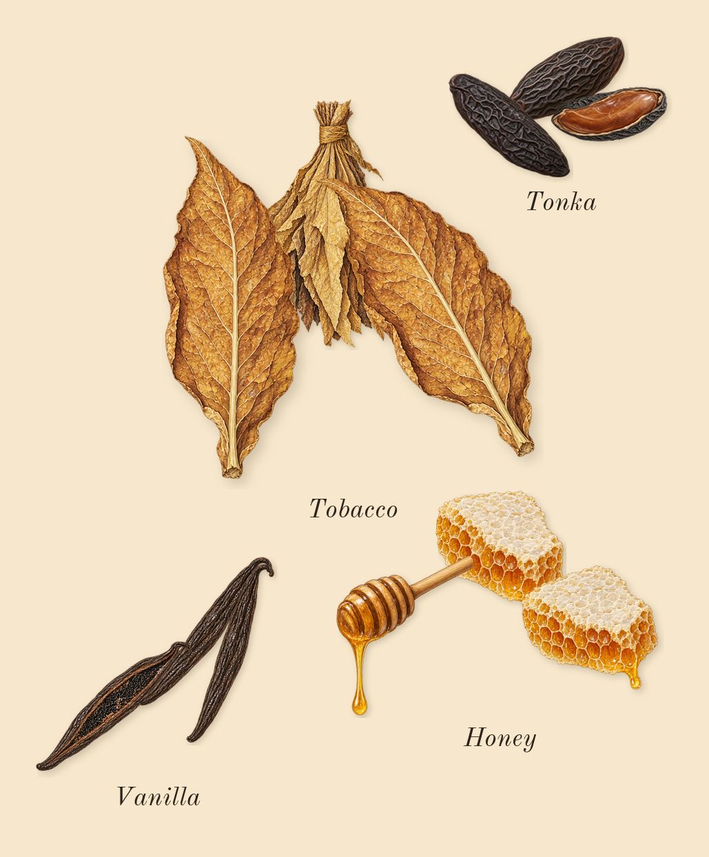 Elixir, dry-down: Vanilla, Tonka, Honey, Tobacco